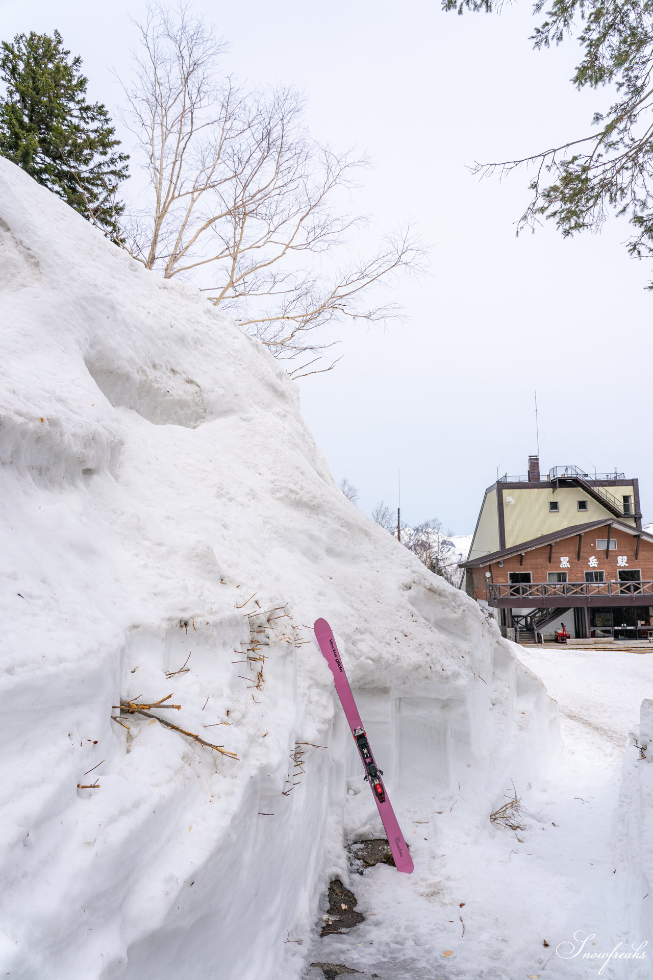 大雪山層雲峡・黒岳ロープウェイスキー場　本日の積雪 310cm。神々の遊ぶ庭でのんびり春スキー＆スノーボードを楽しみましょう♪